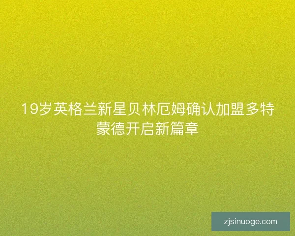 19岁英格兰新星贝林厄姆确认加盟多特蒙德开启新篇章