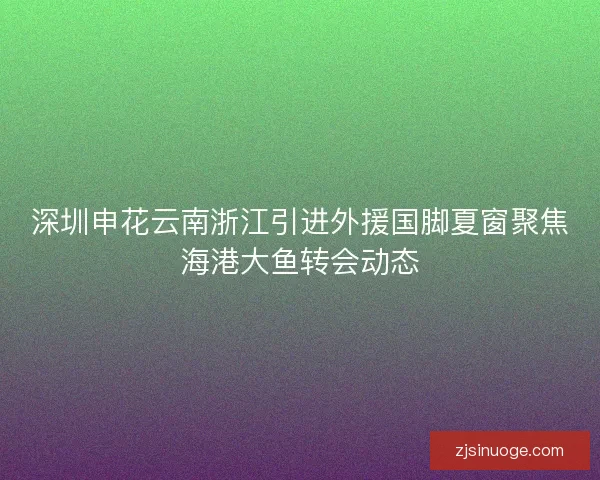 深圳申花云南浙江引进外援国脚夏窗聚焦海港大鱼转会动态