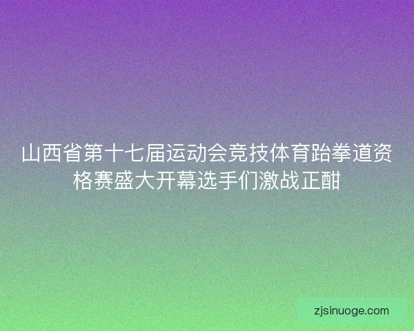 山西省第十七届运动会竞技体育跆拳道资格赛盛大开幕选手们激战正酣